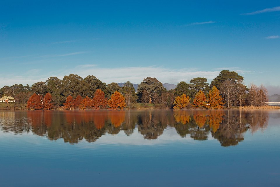 lake reflections